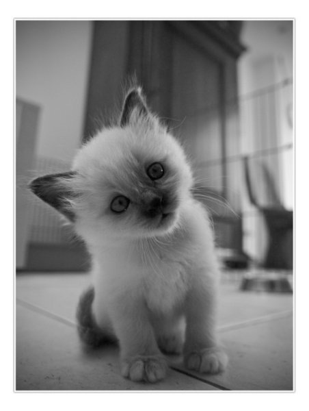 №26, Виктория Полевая, 125 лет, Николаев №26, Виктория Полевая, 125 лет, Николаев