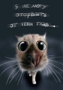 Фотография Анюта ...