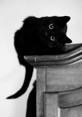 №67, Джамиля Хайруллина №67, Джамиля Хайруллина