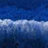 Аватар: Aandreifurmanamailr@mail.ru Aandreifurmanamailr@mail.ru