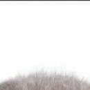 №99, Данил Петриченко, 35 лет, Lublin №99, Данил Петриченко, 35 лет, Lublin