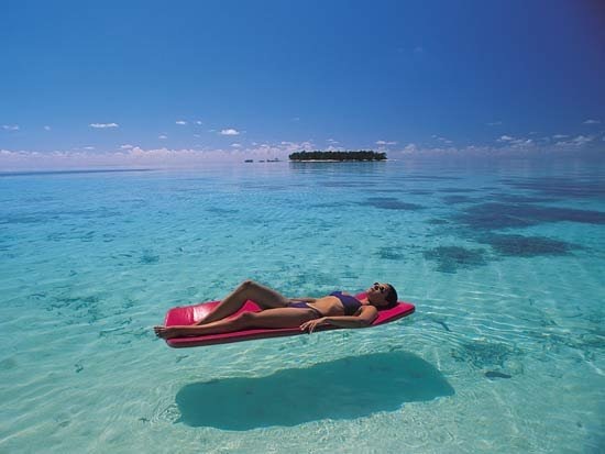 №1, Anastasiia Shelamova №1, Anastasiia Shelamova