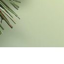 №31, Егор Виштал №31, Егор Виштал