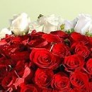 №109, Егор Виштал №109, Егор Виштал