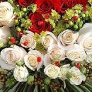 №116, Егор Виштал №116, Егор Виштал