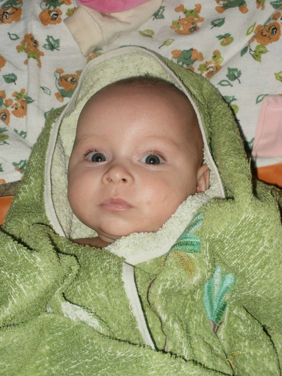 Кристина Панфёрова | Каменское / Днепродзержинск