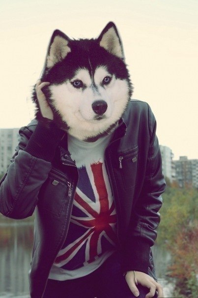 Дмитрий Михайлов | Иркутск