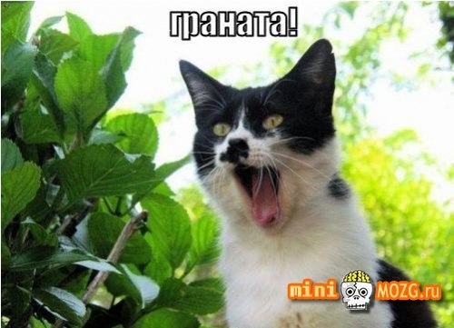 Серёга Ланитин | Тюмень