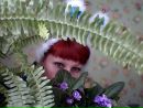 Фотография Марина Бочерикова