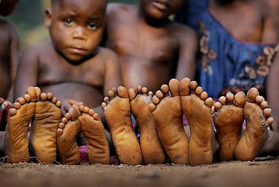 №8, Галина Штык, 65 лет, Чернигов №8, Галина Штык, 65 лет, Чернигов