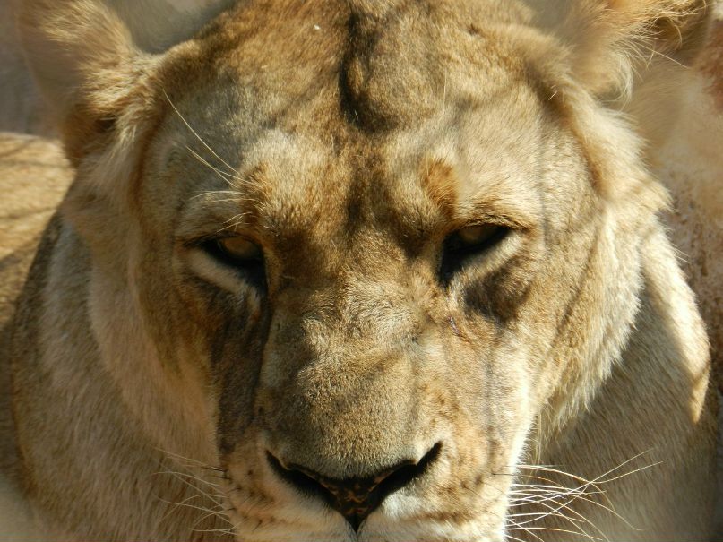 Евгений Гаврилов | 