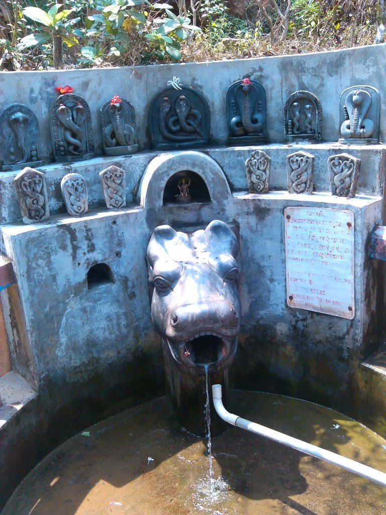 Ли Нибелунга | Ростов-на-Дону