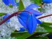 Гузель Сабирова | Подольск