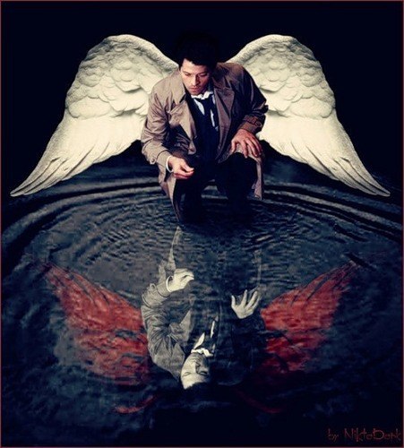 Александр Олейник | Донецк