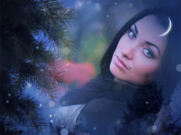 №5, Lusine Margaryan, 20.5.1985 №5, Lusine Margaryan, 20.5.1985