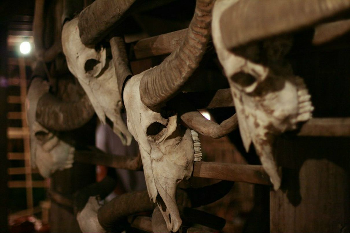 Рената Санникова | Ижевск