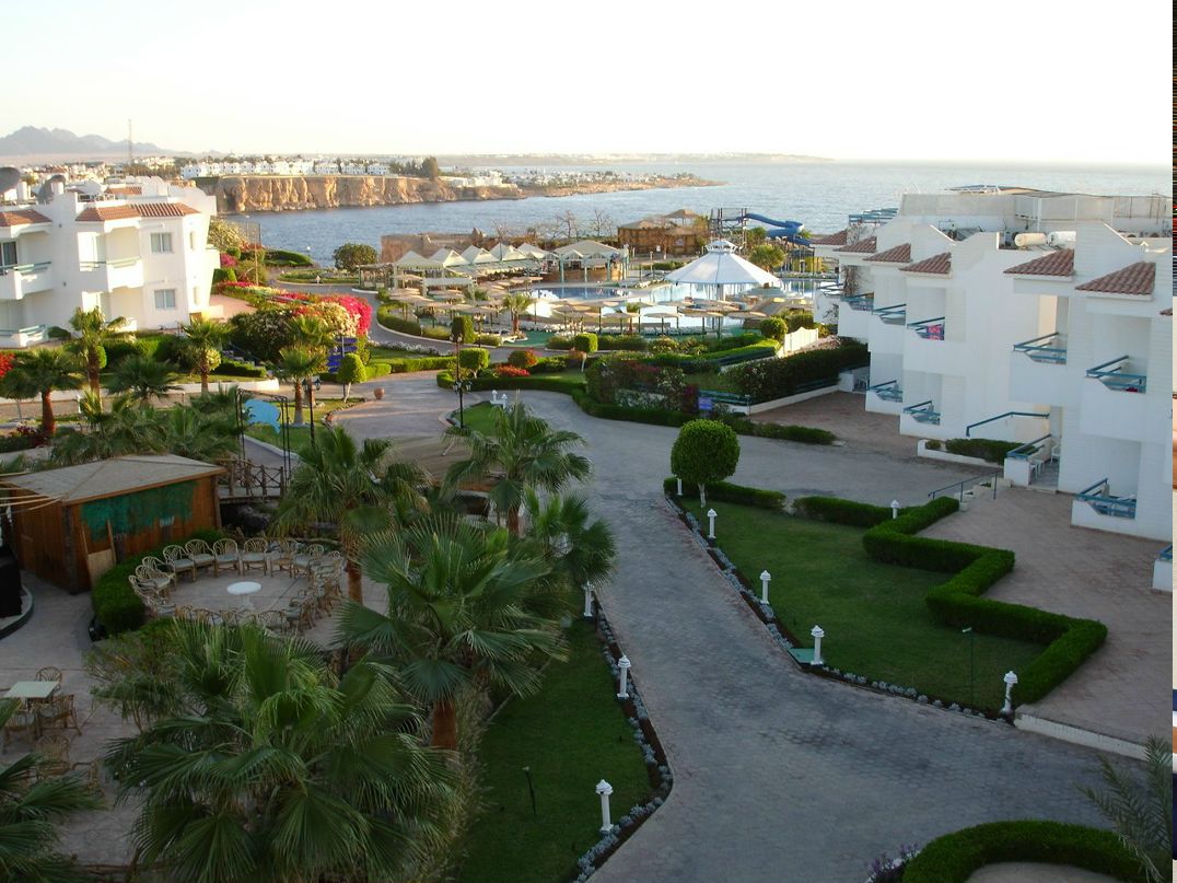 Алексей Журавлёв | Санкт-Петербург