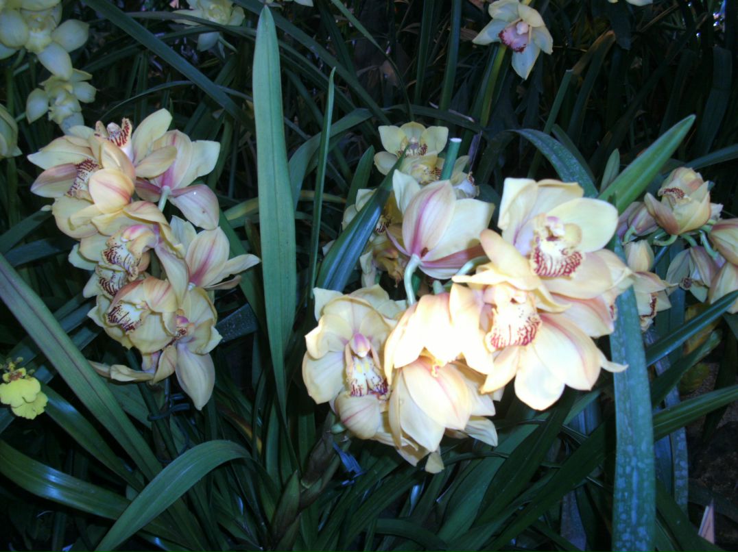 Алёна Ятчук | Владивосток