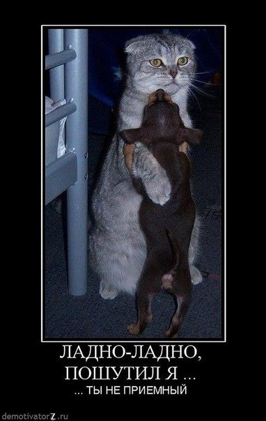 Галя Злыденная | Москва