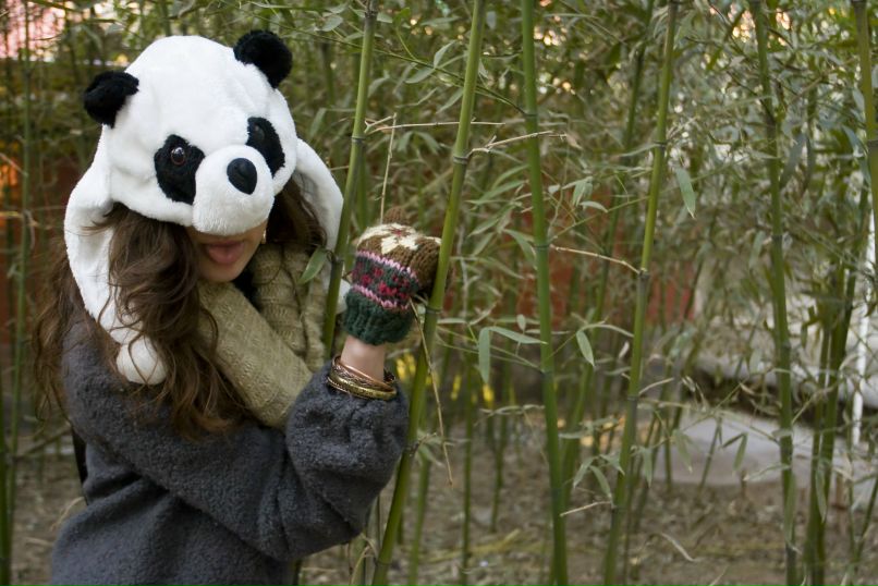 Анна Рачевская | 