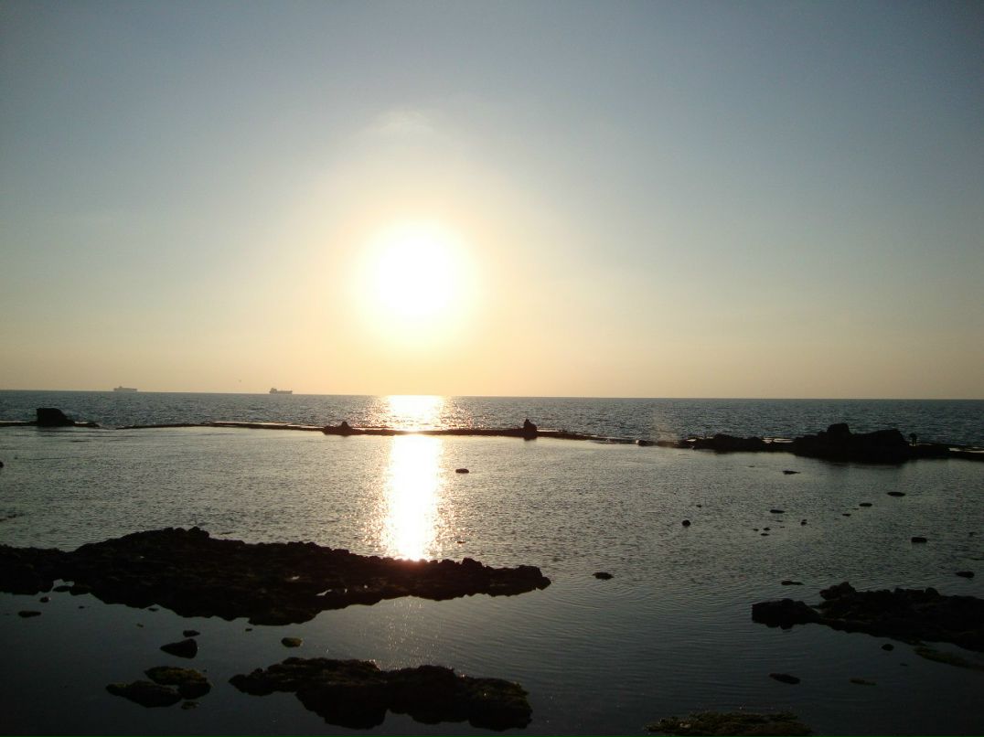 Евгений Алексеев | Санкт-Петербург