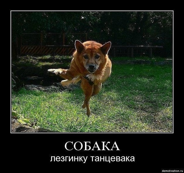 №37, Александр Фефел, 40 лет, Рязань №37, Александр Фефел, 40 лет, Рязань