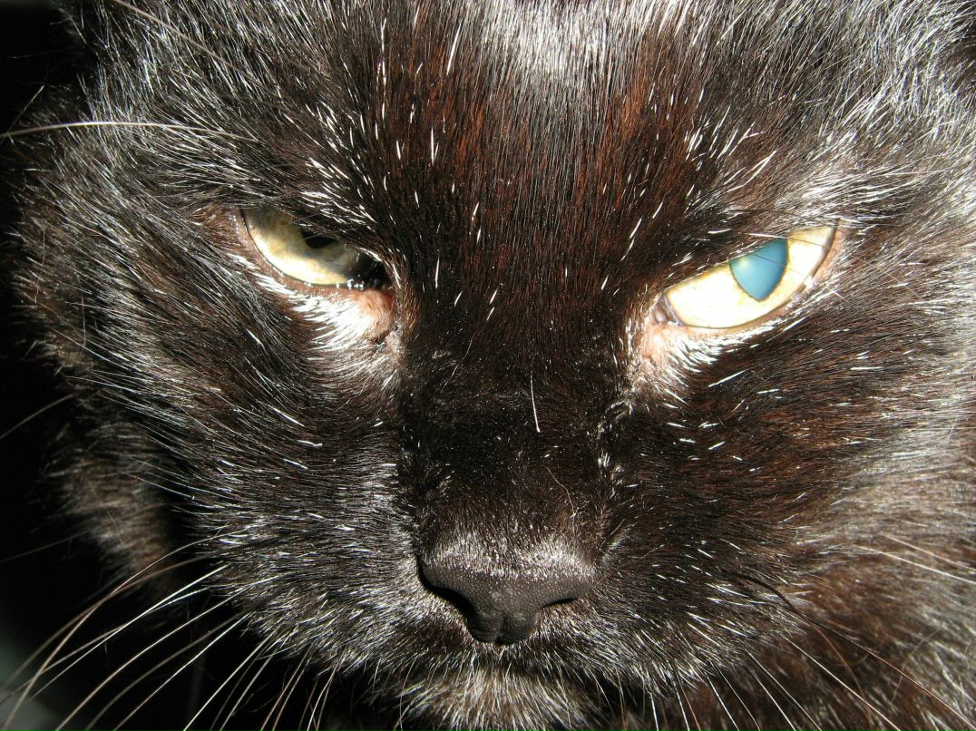 Инесса Семёнова | Калуга