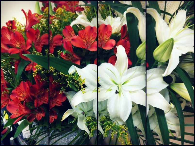 №98, Naty Cheggy №98, Naty Cheggy