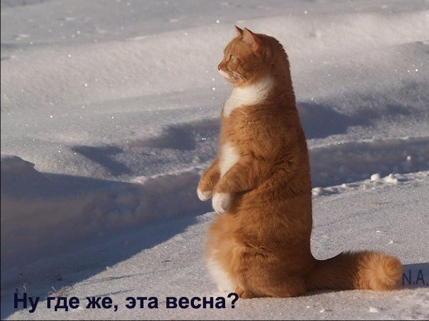 №3, Наталья Лодыгина, 56 лет, Москва №3, Наталья Лодыгина, 56 лет, Москва