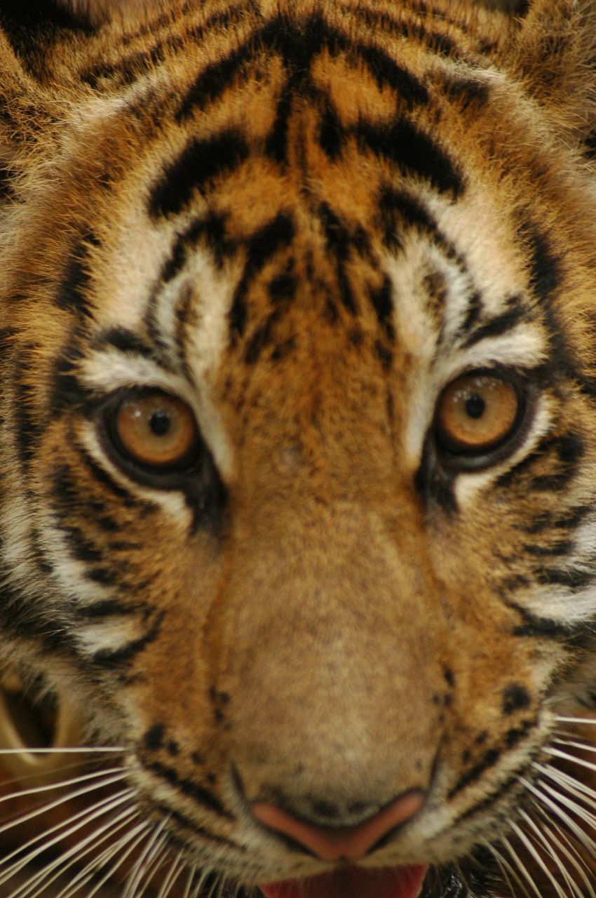 Евгений Кулишенко | Москва