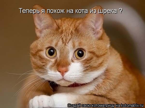 №179, Евгения Архипова, Кингисепп №179, Евгения Архипова, Кингисепп