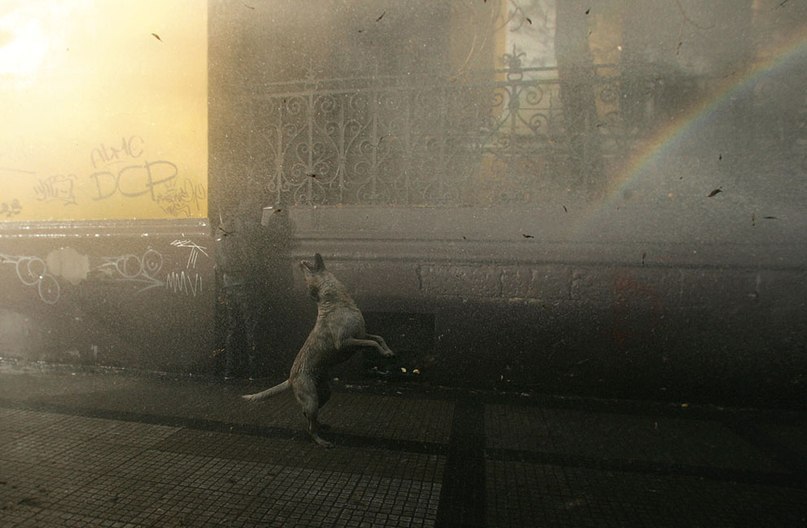 Лара Нехаева | Москва