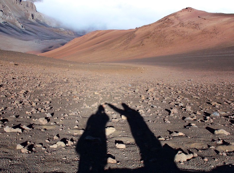 Оля Климанова | Bellevue