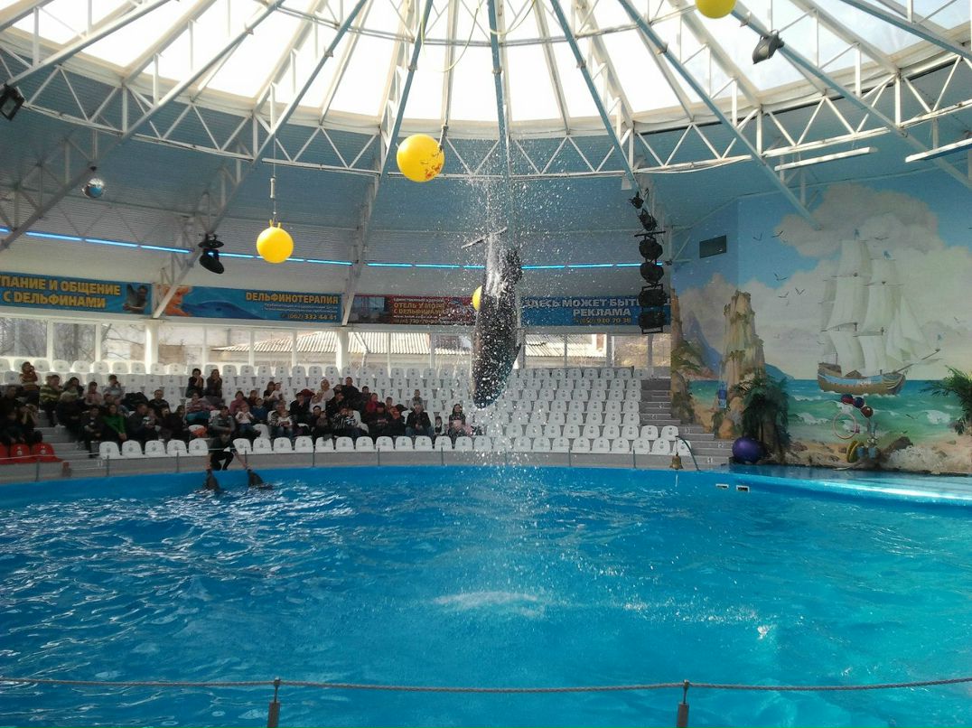 Гена Мычилкин | Донецк