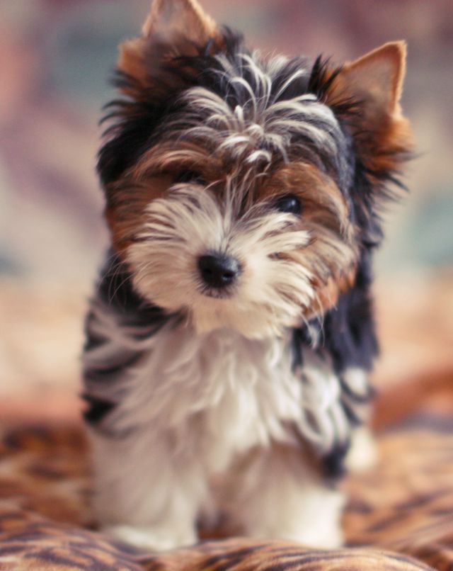 Надежда Савельева | Стерлитамак