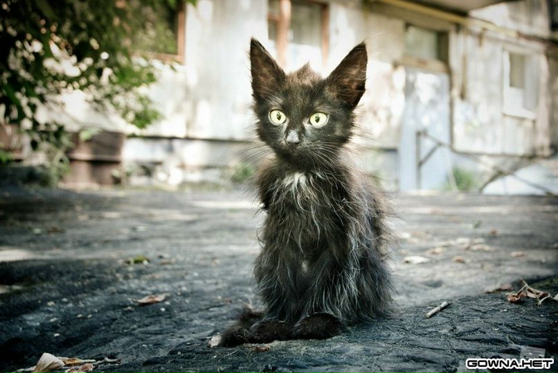 Arkasha Pashkovec | Пинск