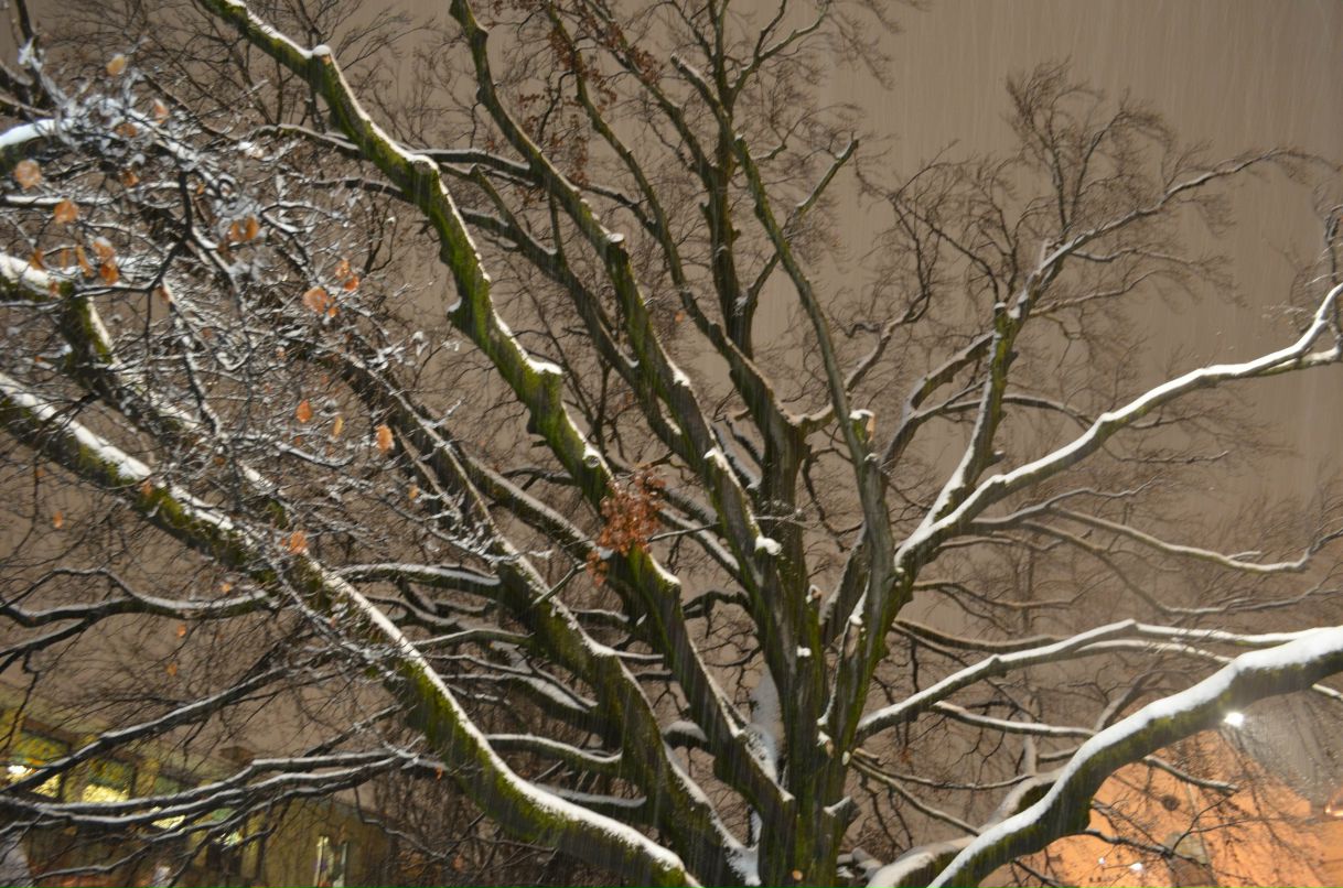 Марина Гайворонская | Санкт-Петербург