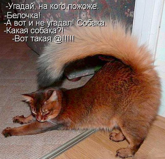 Ольга Гордеева | Харьков