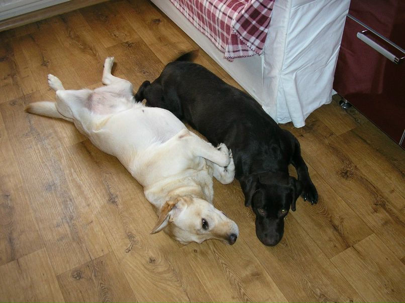 Наташа Заточник | Санкт-Петербург