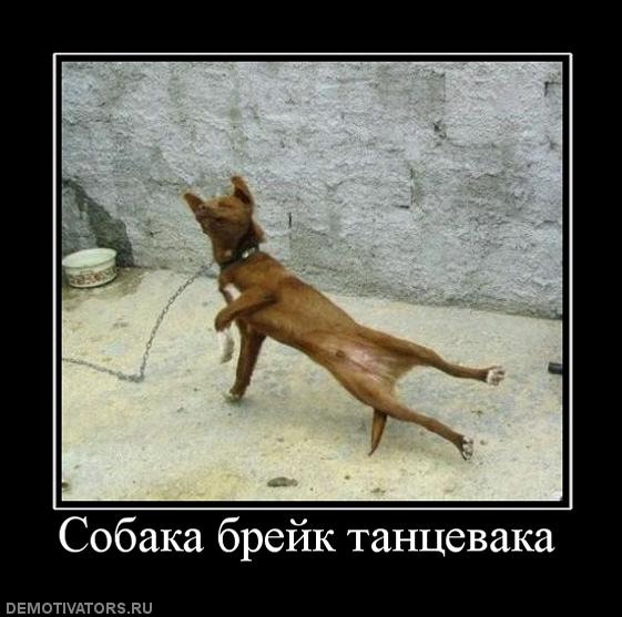 №96, Наталья Астапович, 36 лет, Санкт-Петербург №96, Наталья Астапович, 36 лет, Санкт-Петербург