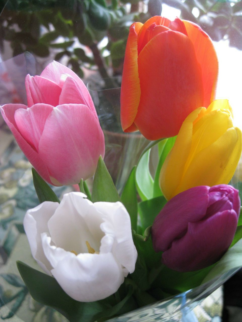 Натали Коробко | Киев