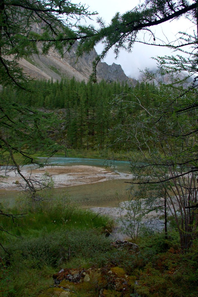 Ольга Сальникова | Новосибирск