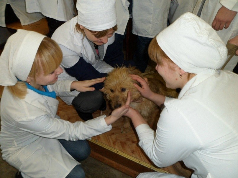 Анна Шаталова Александровна | Троицк