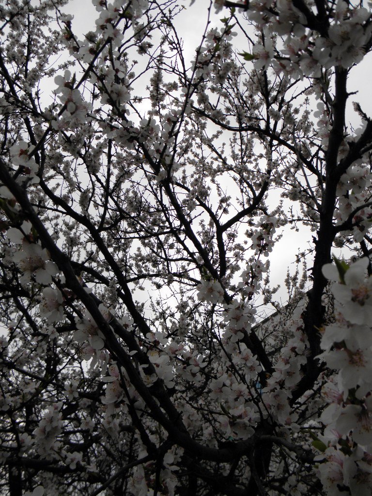 Артур Вовк | Донецк