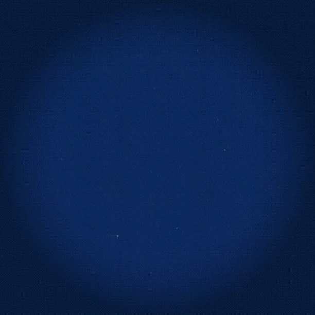 Ольга Быстрова | Санкт-Петербург