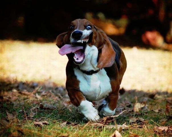 Алексей Гордеев | Москва