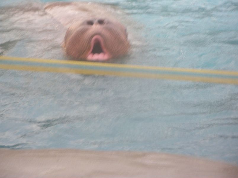 №19, Настя Антошина №19, Настя Антошина