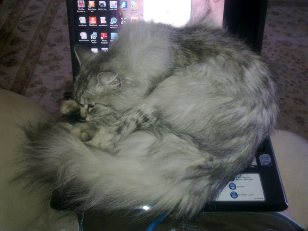 Алиса Крузенштерн | London