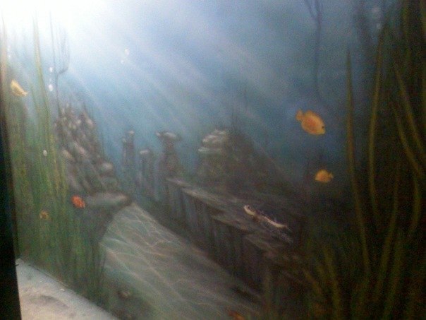 Влад Вдовиченко | Киев