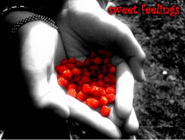 №20, Анастасія Похольченко, Винница №20, Анастасія Похольченко, Винница